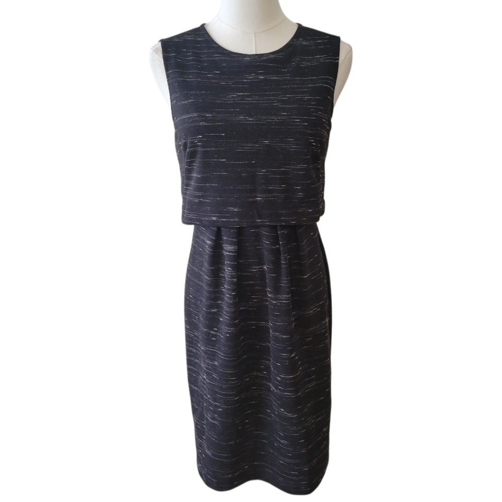 Ann Taylor Black Print Sleeveless Dress Size 2
